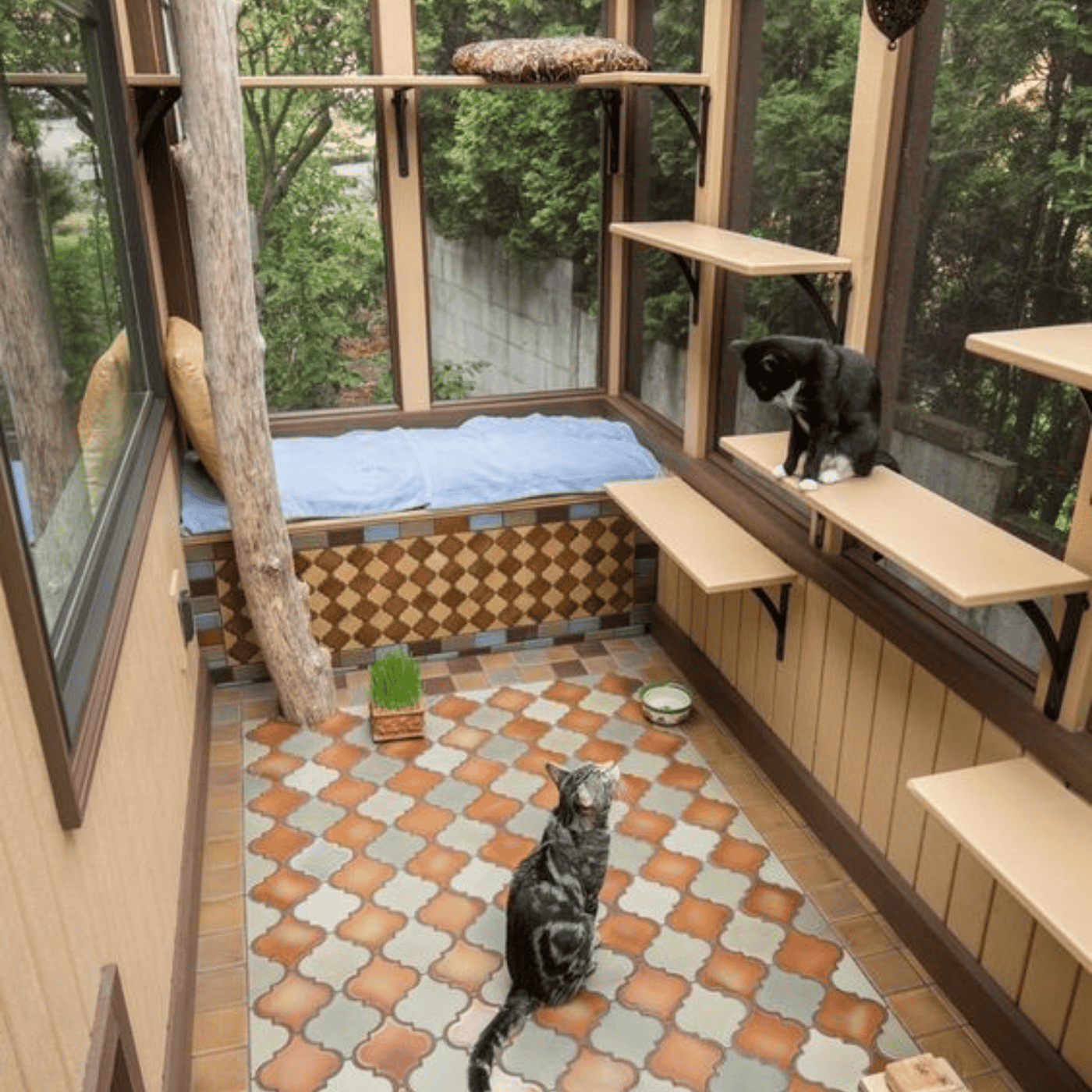Recintos de exterior para gatos, Grandes y espaciosos